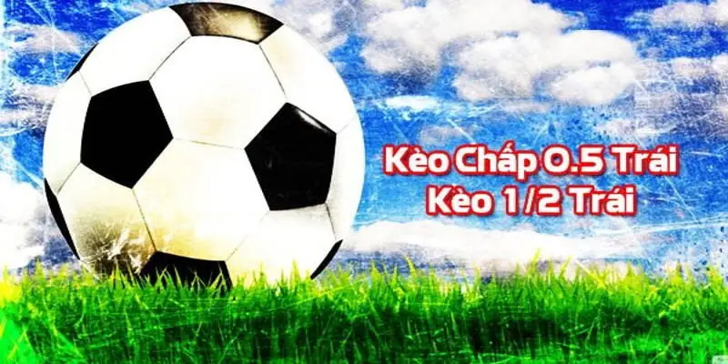 Giải mã tỷ lệ nửa trái asian handicap là gì